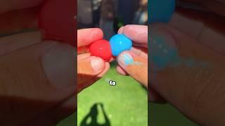 what seaweed paintballs look like.. again