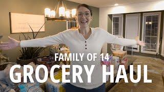 LARGE FAMILY GROCERY HAUL