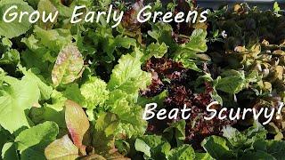 S1E3 Grow Early Greens For Better Health!