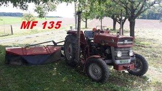 Fauchage, Massey Ferguson 135