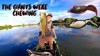 Insane Topwater Frog Fishing Action(The Giants Were Chewing)