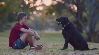 Adopt Someone Special at RSPCA South Australia