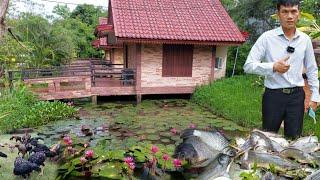 บ้านกลางน้ำสวยๆกับเกษตรผสมผสาน!!ชีวิตในฝันตอนบั้นปลาย..อยากได้แบบนี้