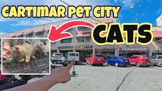 Cartimar Pet Haus