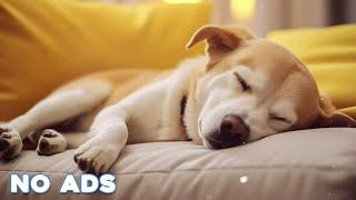 12 Hours Anti Anxiety Music For Dogs  Stress Relief Music For Dogs  Calming Music For Dogs