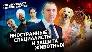 Иностранные специалисты и защита животных: что обсуждают в Правительстве?