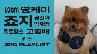 [PLAYLIST] 틀어놓기 좋은 라이브 몰아듣기ㅣ박재정,영케이,권진아,죠지,멜로망스,권정열,고영배