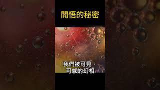 秒懂：開悟的秘密‍️| 護眼字體 精華