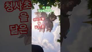섬초롱꽃 청사초롱