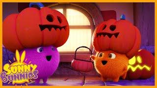 SUNNY BUNNIES - Trick or Treating  | Halloween Compilation | Season 5 | Cartoons for Children