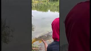 ЗДЕСЬ РЫБЫ НЕТ!!!  #рыбалка #fishing #carpfishing #carp #fish