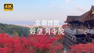 【Kyoto Solo Trip】A Different Perspective of Kyoto! Four Scenic Overlook Temples with City Views