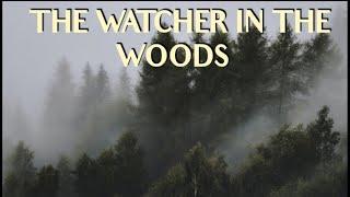 The Watcher In The Woods.  A true Story.