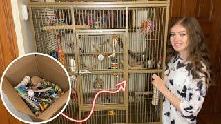 Setting up a bird cage with an Elle’s Avian Essential’s Kit + introducing large kits!