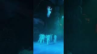 The Best Circus I've Ever Been To Was in Vietnam (Vùng Đất Kỳ Bí)