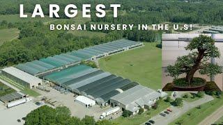 Visiting The Largest Bonsai Nursery In The United States