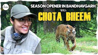 Season Opener In Bandhavgarh - with Chota Bheem || Sadaa Wild Stories