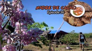 Delicious madre cacao flowers Gayyem ben inspired  | Buhay probinsya | Episode 36