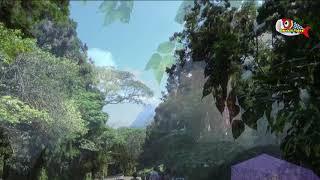 虚空（うつろ）桂銀淑  原唱の歌　歌詞付き