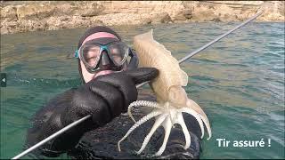 Session pêche sous-marine à Leucate (Aude 11) - De belles seiches et mostelles pour Olivier et Kévin