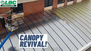 Crazy Canopy Clean-Up Challenge: Pressure Wash Precision!