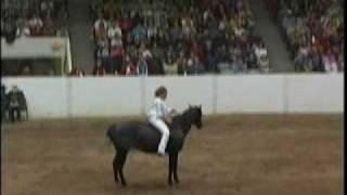 Stacy Westfall Bareback and Bridleless thoughts