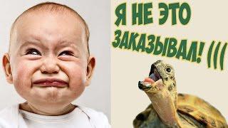 Живая мышка из КИТАЯ!