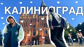 VLOG: путешествую одна по Калининграду