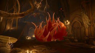 Elden Ring • Haligtree Roots + Ambience 