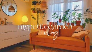 2024 Year End Plant & Book Vlog  | plant shopping & repotting | cozy book chat