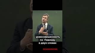 уравновешенность в двух словах психология лекции  личностный рост  #shorts #психология