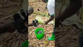 MAKING ORGANIC FERTILIZERS