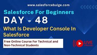 What Is Developer Console In Salesforce | salesforce bulge
