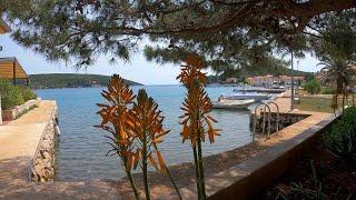 Island Losinj ... Ilovik on SUP [4K]