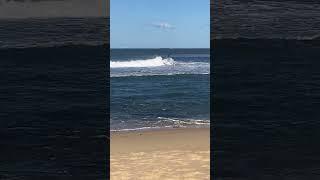 Bar Beach locals Sunday Surfest Newcastle