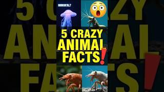 5 Mind-Blowing Animal Facts You’ve Never Heard Before! #facts #animalfacts #animalawareness