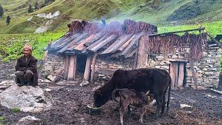 Beautiful And very Relaxing Nepali himalayan  village  Life in Rainy Time || Gorey Nepal Lifestyle