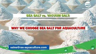 SEA SALT vs. VACUUM SALT: Why We Choose Sea Salt for Aquaculture!