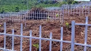 Đất Nam Hà, Lâm Hà cách Chợ Đà Lạt 30KM, Tel 0919830239 Ms.Trọng