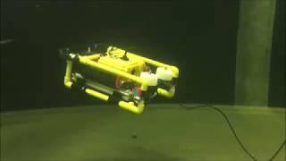 Remotely Operated Underwater Vehicle (ROV)