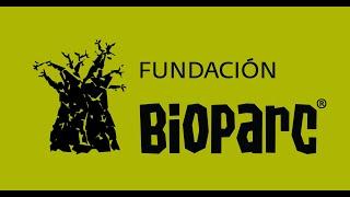 "El papel de la Fundación BIOPARC y los proyectos de conservación in situ" en CV Radio