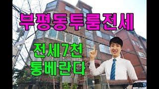 부평투룸전세, 만월산터널초입, 부평동수교회 바로뒤! 경인국도,서울외곽순환도로 이용편리! 빌라프린스-10895 [정과장과 함께해요]