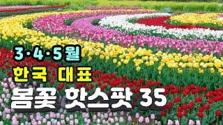 [3·4·5월 봄꽃여행지 BEST 35선] 제주~서울까지 화려함이 넘치는 한국 대표 A등급 봄꽃 명소 35곳( PRO 촬영, 편집자의 최고 등급 4K영상)