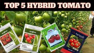 Top 5 Hybrid Tomato Seeds For Rainy Season