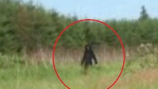 5 Best Bigfoot Sightings You Haven't Seen