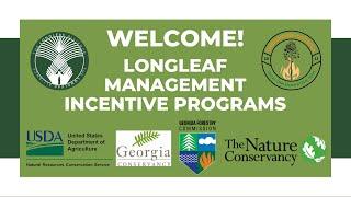 Longleaf Management Incentives Programs