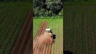 Agricultural Machinery Cultivates the Land | Afson Seeds #shorts #youtubeshorts #agriculture