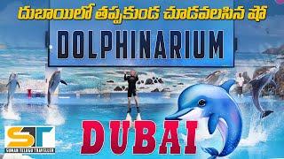 Dubai Dolphinarium Full Video | Amazing Dolphins and Seals Show | Suman Telugu Traveller