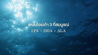 แหล่งโอเมก้า 3 ที่สมบูรณ์ (แนวนอน)