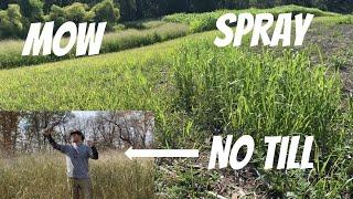 SWITCHGRASS FAILS: 2 screwups...1 success! Priceless lessons in switchgrass prep and planting!!!